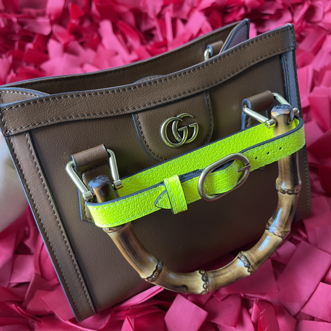 G*u*i diana mini tote bag khaki 20w x 16h x 10d cm