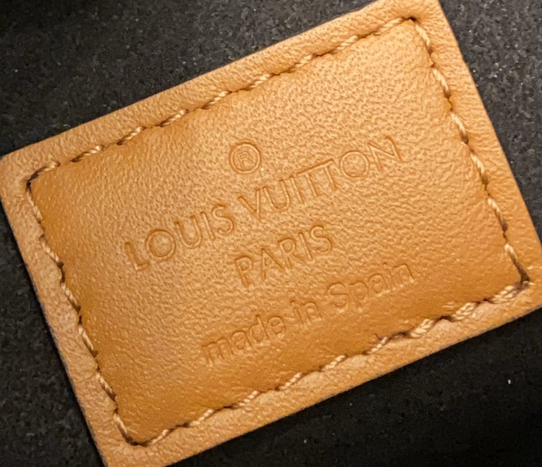 LV DAUPHINE MM M44391 9.8 x 6.7 x 4.1 inches